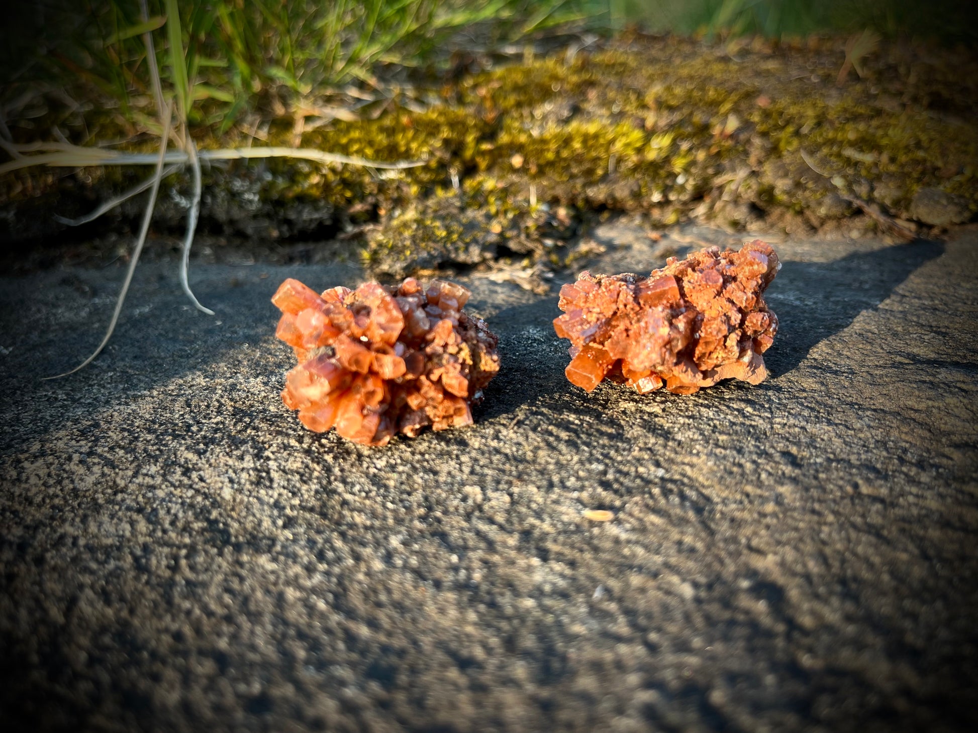 Aragoniittikide keskikokoinen