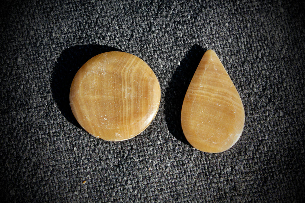 Fossilisoitunut puu (2kpl)
