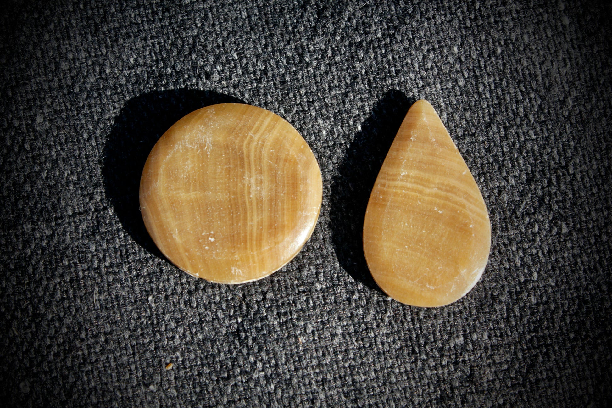 Fossilisoitunut puu (2kpl)
