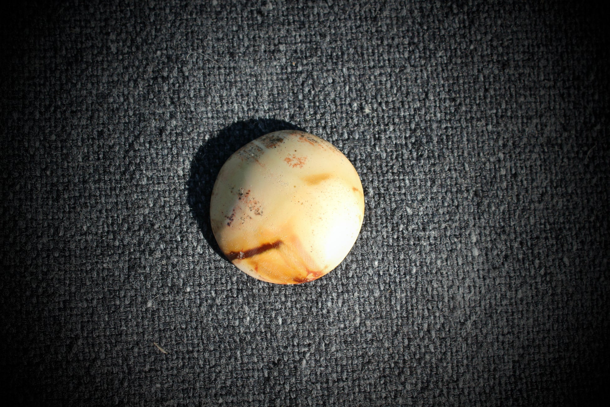 Polygromijaspis keltainen